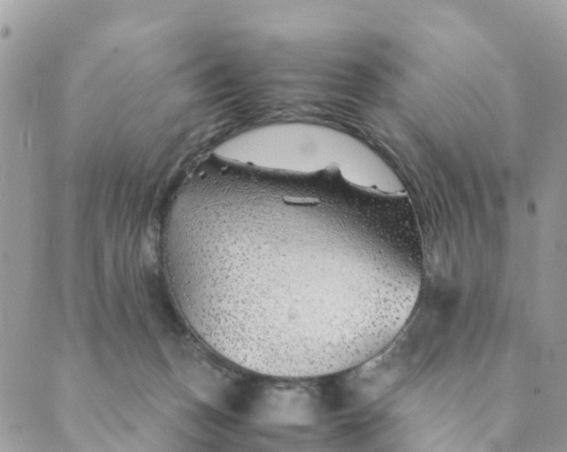 X0000089360175200707061058