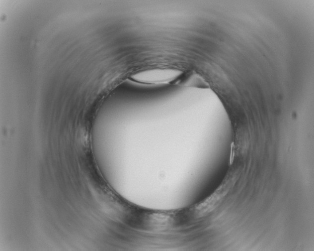 X0000089360176200707061058