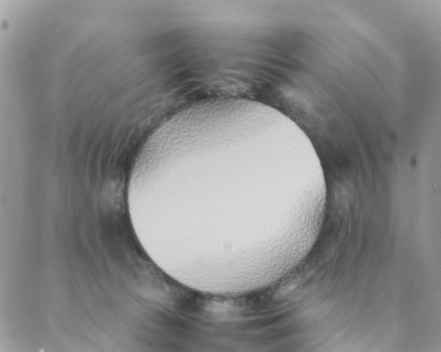 X0000089360177200707061058