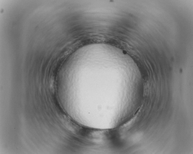 X0000089360178200707061058