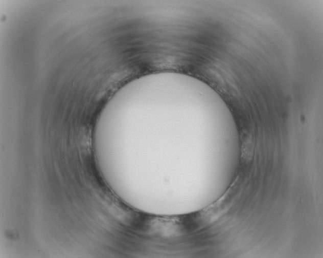 X0000089360179200707061058