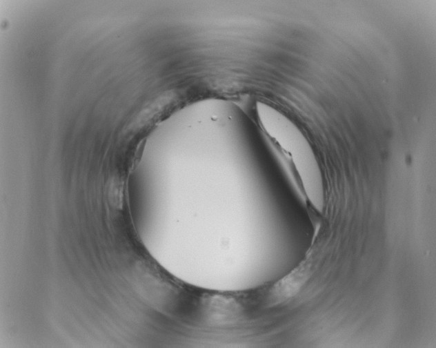 X0000089360180200707061058