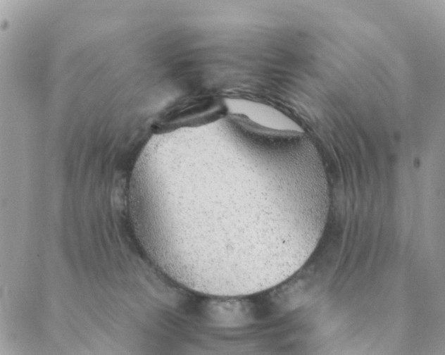 X0000089360181200707061058