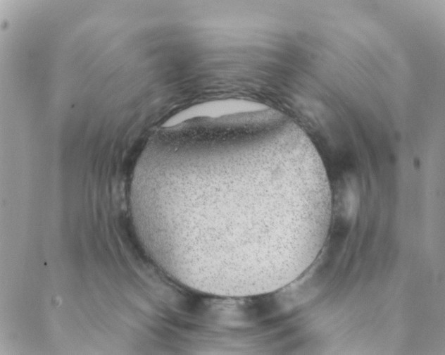 X0000089360182200707061058