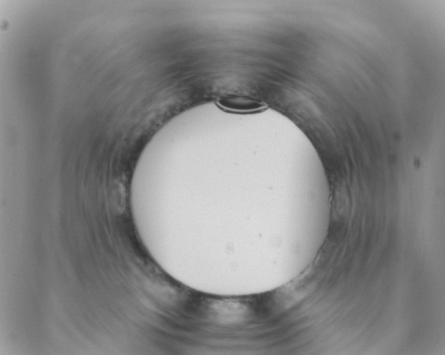 X0000089360183200707061058