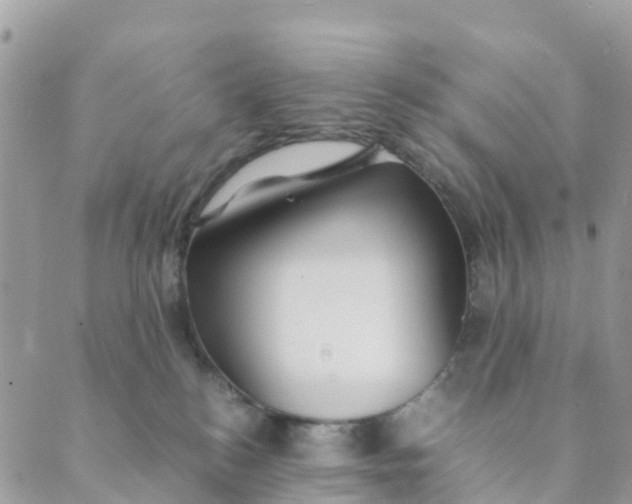 X0000089360184200707061058