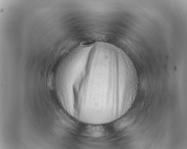 X0000089360185200707061058