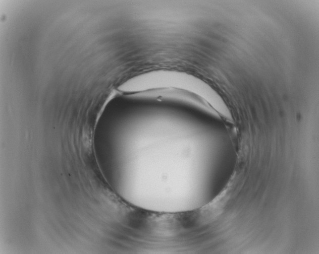 X0000089360186200707061058