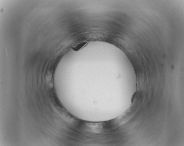 X0000089360187200707061058