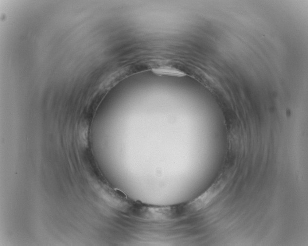 X0000089360188200707061058