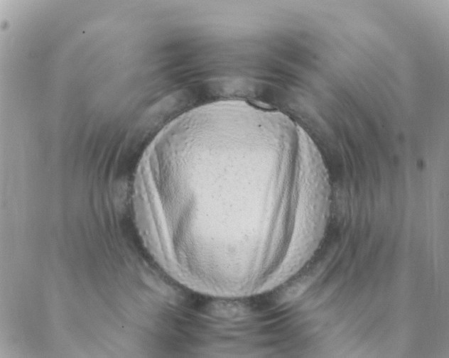 X0000089360189200707061058