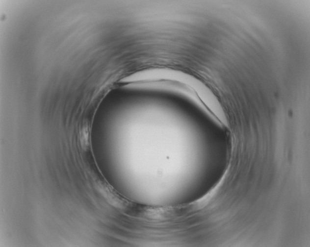 X0000089360190200707061058