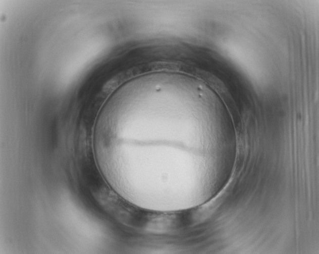 X0000089360191200707061058