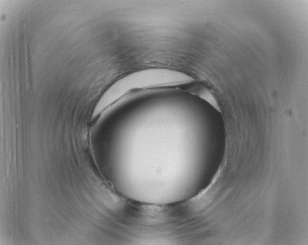 X0000089360192200707061058