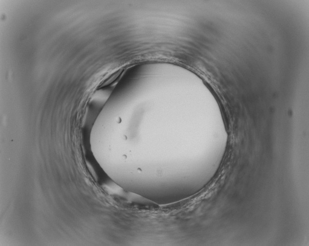 X0000089360193200707061058