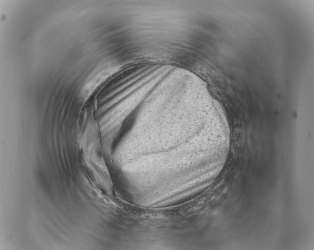 X0000089360194200707061058