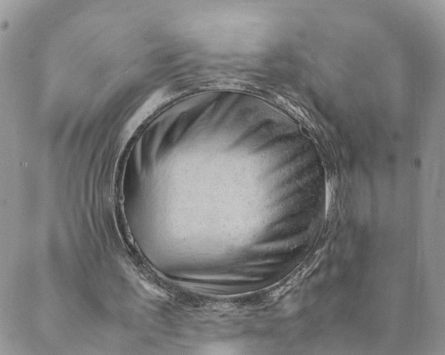 X0000089360195200707061058