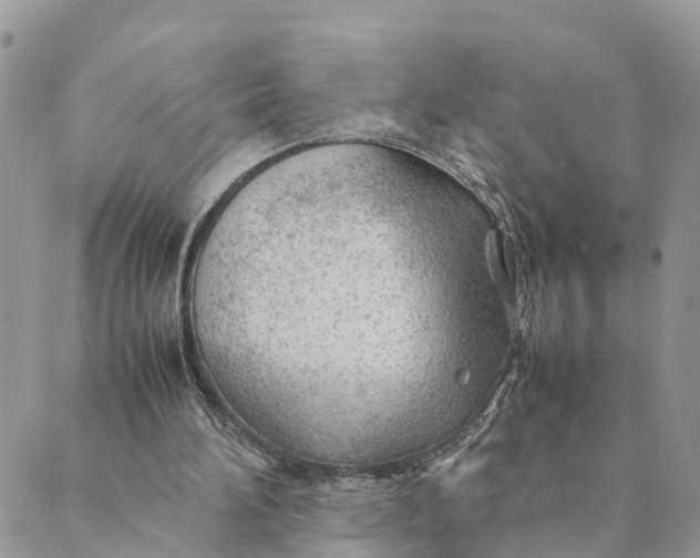 X0000089360196200707061058