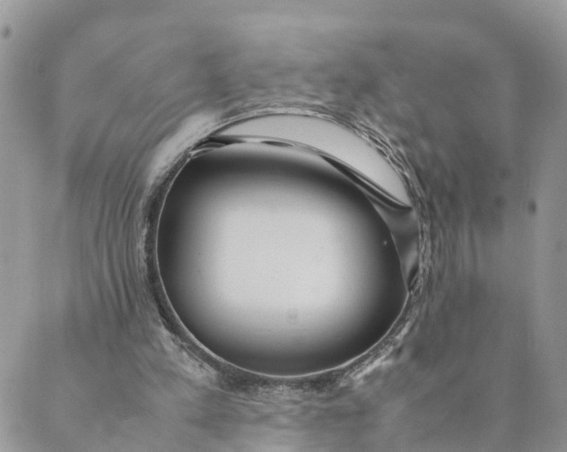 X0000089360197200707061058