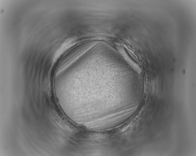 X0000089360198200707061058