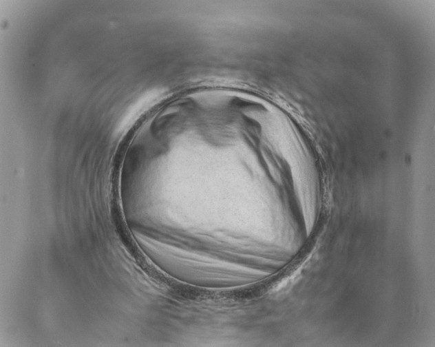 X0000089360199200707061058