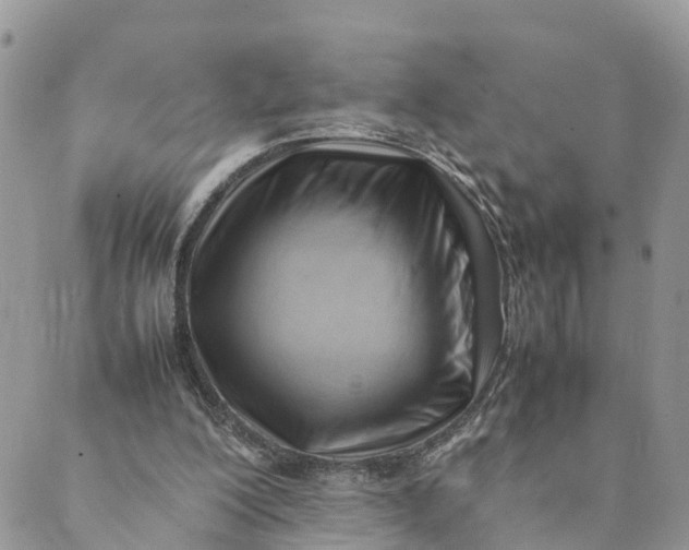 X0000089360200200707061058