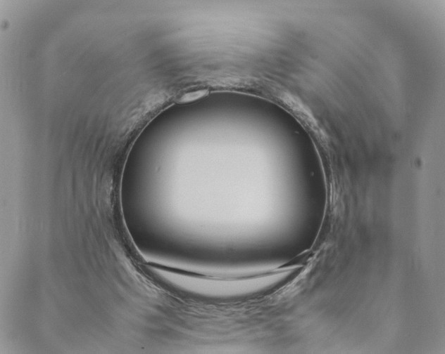 X0000089360201200707061058