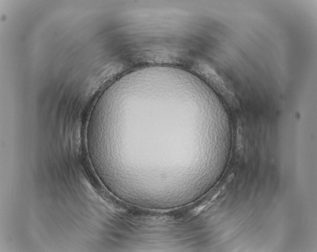 X0000089360202200707061058