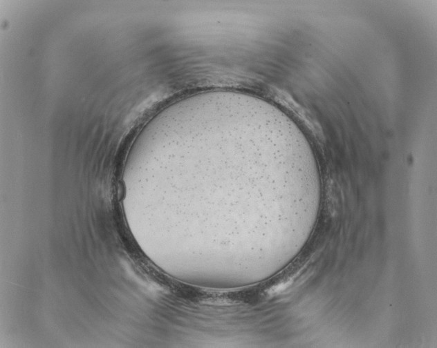 X0000089360203200707061057