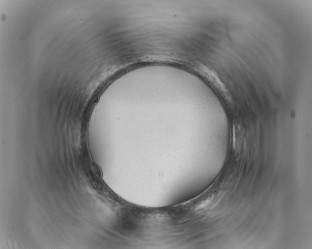 X0000089360204200707061057