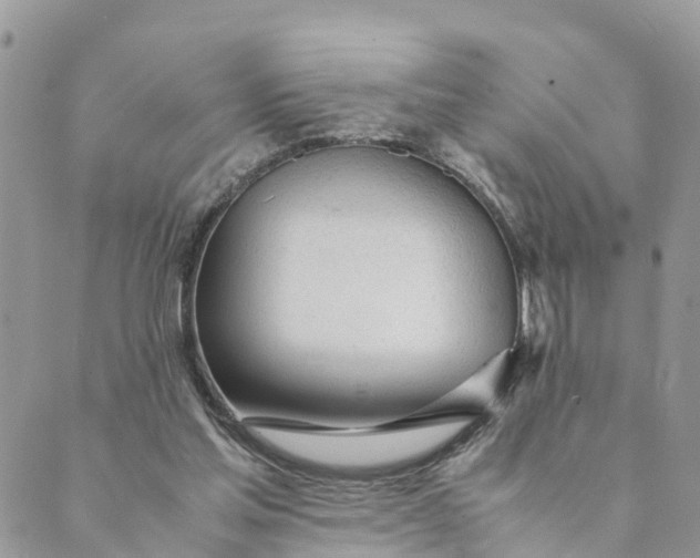 X0000089360205200707061057