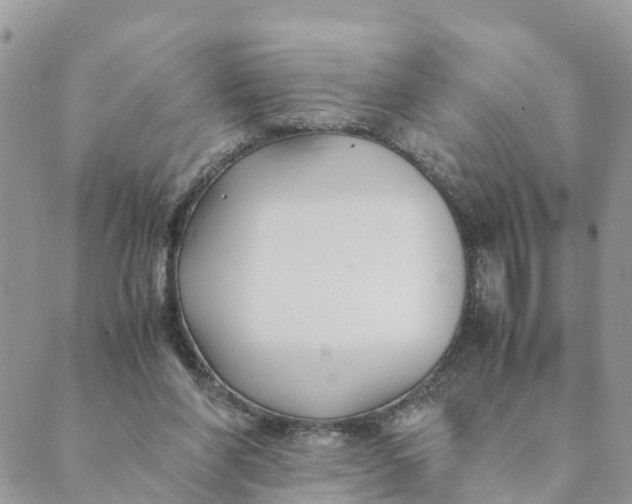 X0000089360206200707061057