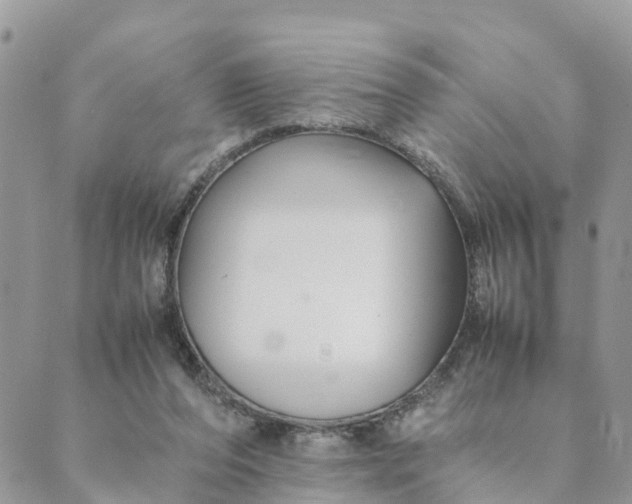 X0000089360208200707061057