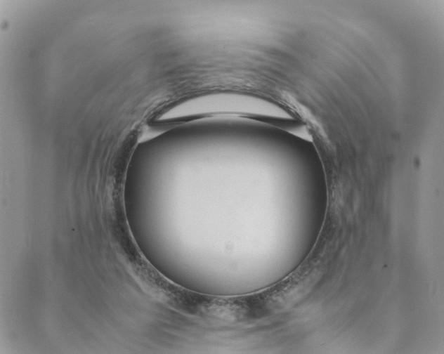 X0000089360209200707061057