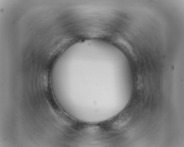 X0000089360210200707061057