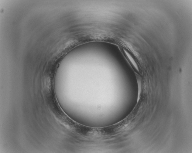 X0000089360211200707061057