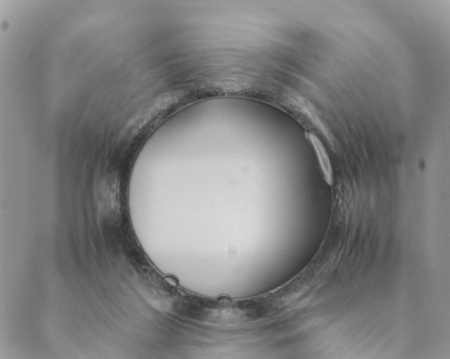 X0000089360212200707061057