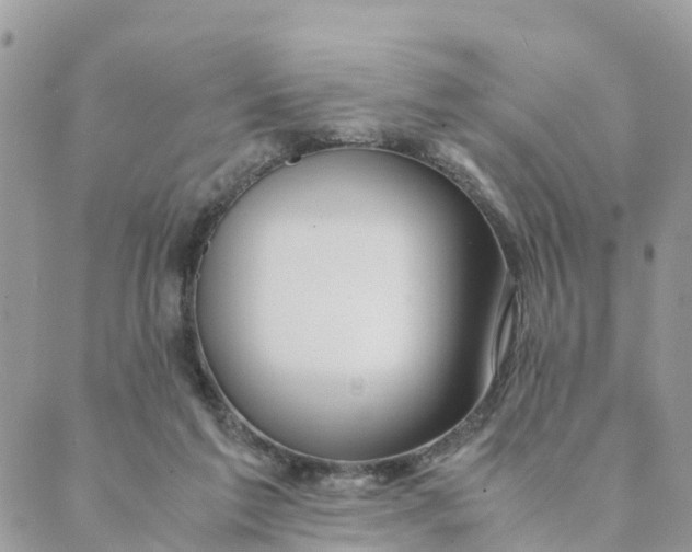 X0000089360213200707061057