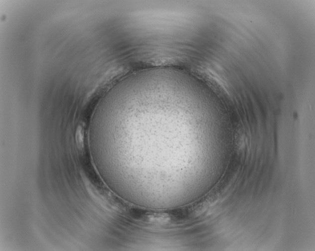 X0000089360214200707061057