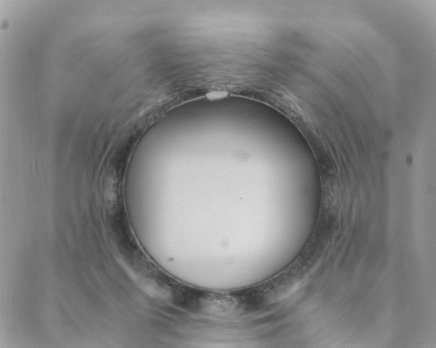 X0000089360215200707061057