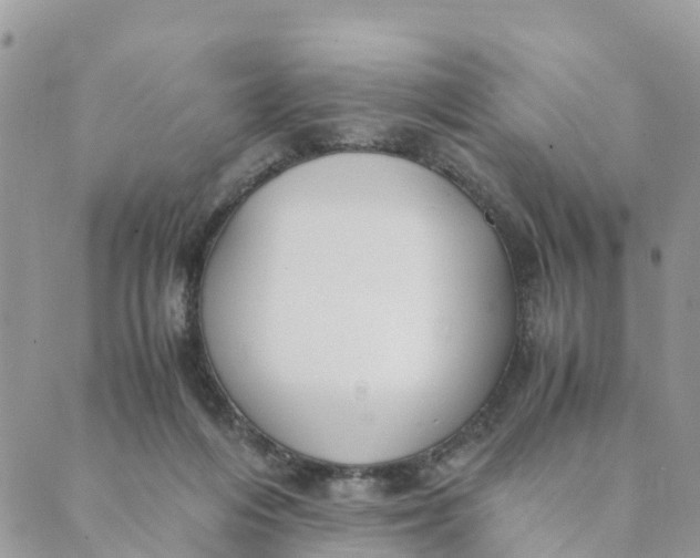 X0000089360216200707061057