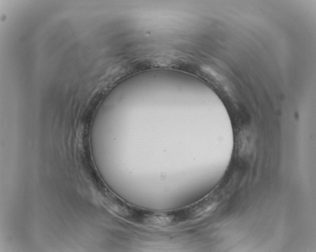 X0000089360217200707061057