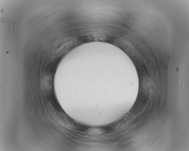 X0000089360218200707061057