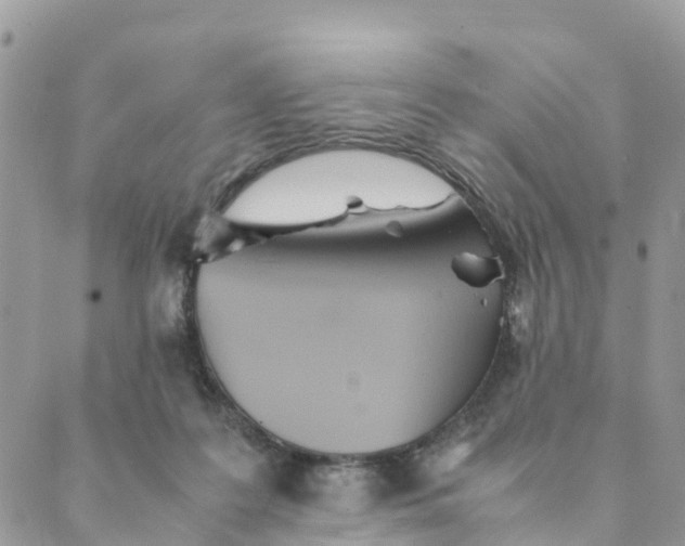 X0000089360219200707061057