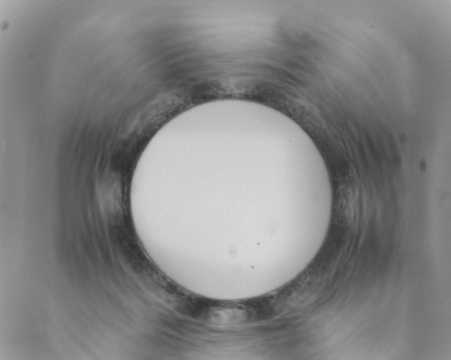 X0000089360220200707061057