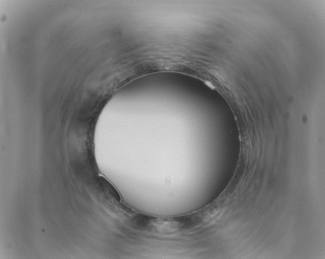 X0000089360221200707061057