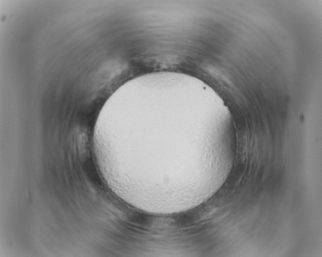 X0000089360222200707061057