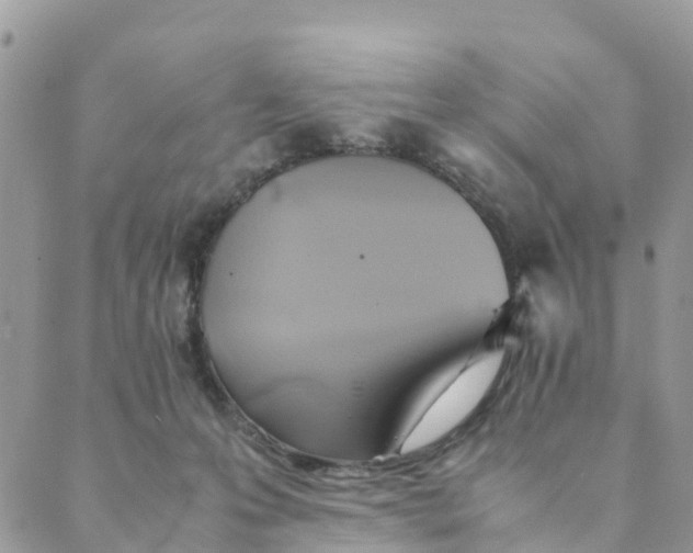 X0000089360223200707061057