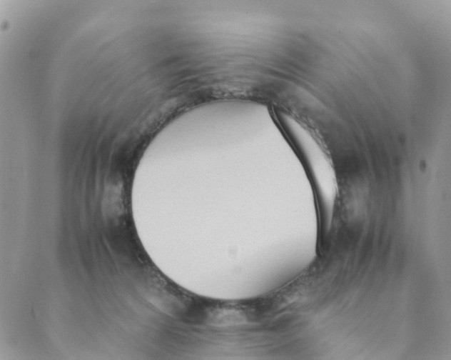 X0000089360224200707061057