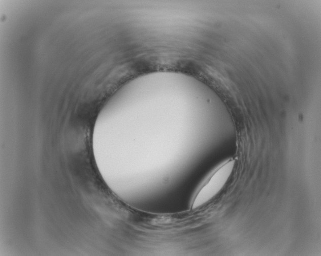 X0000089360225200707061057